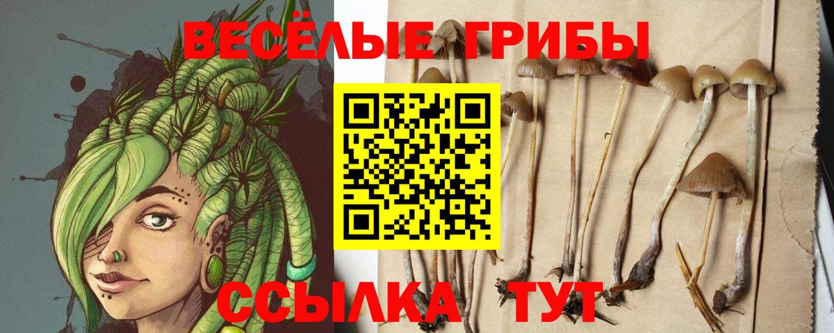 Псилоцибиновые грибы Magic Shrooms  дарнет шоп  Курск  Вход с VPN 
