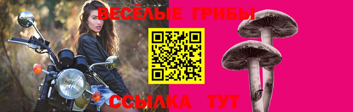 Галлюциногенные грибы ЛСД Курск